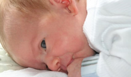 Modulação Sensorial, Integração Sensorial