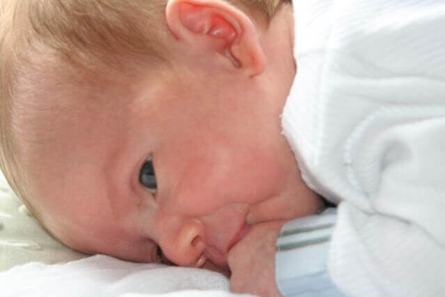 Auto Regulação Infantil